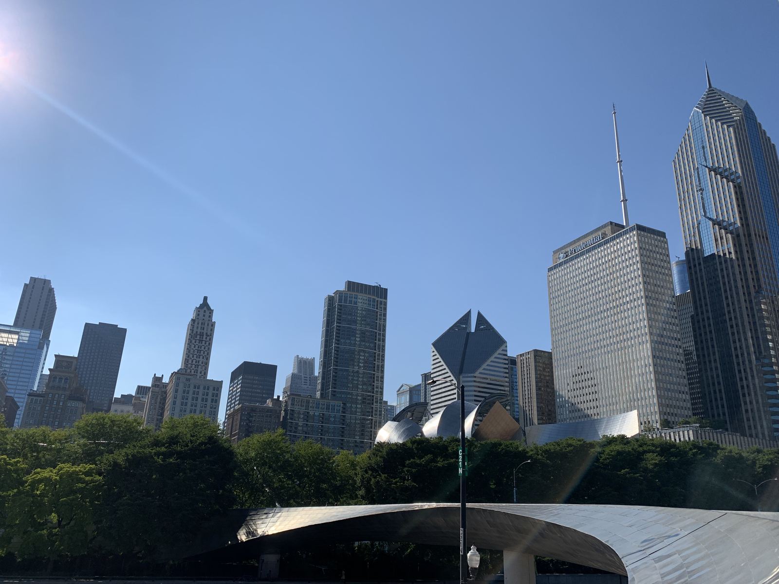Chicago skyline over the treetops of Millennium Park