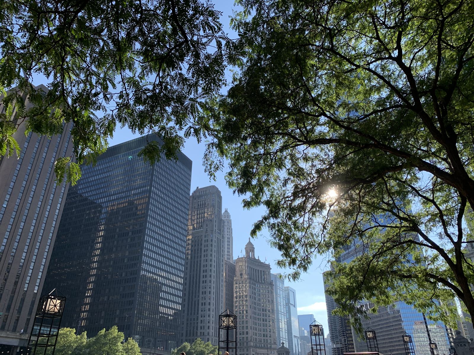 Downtown skyscrapers seen through tree branches on the way to the riverwalk